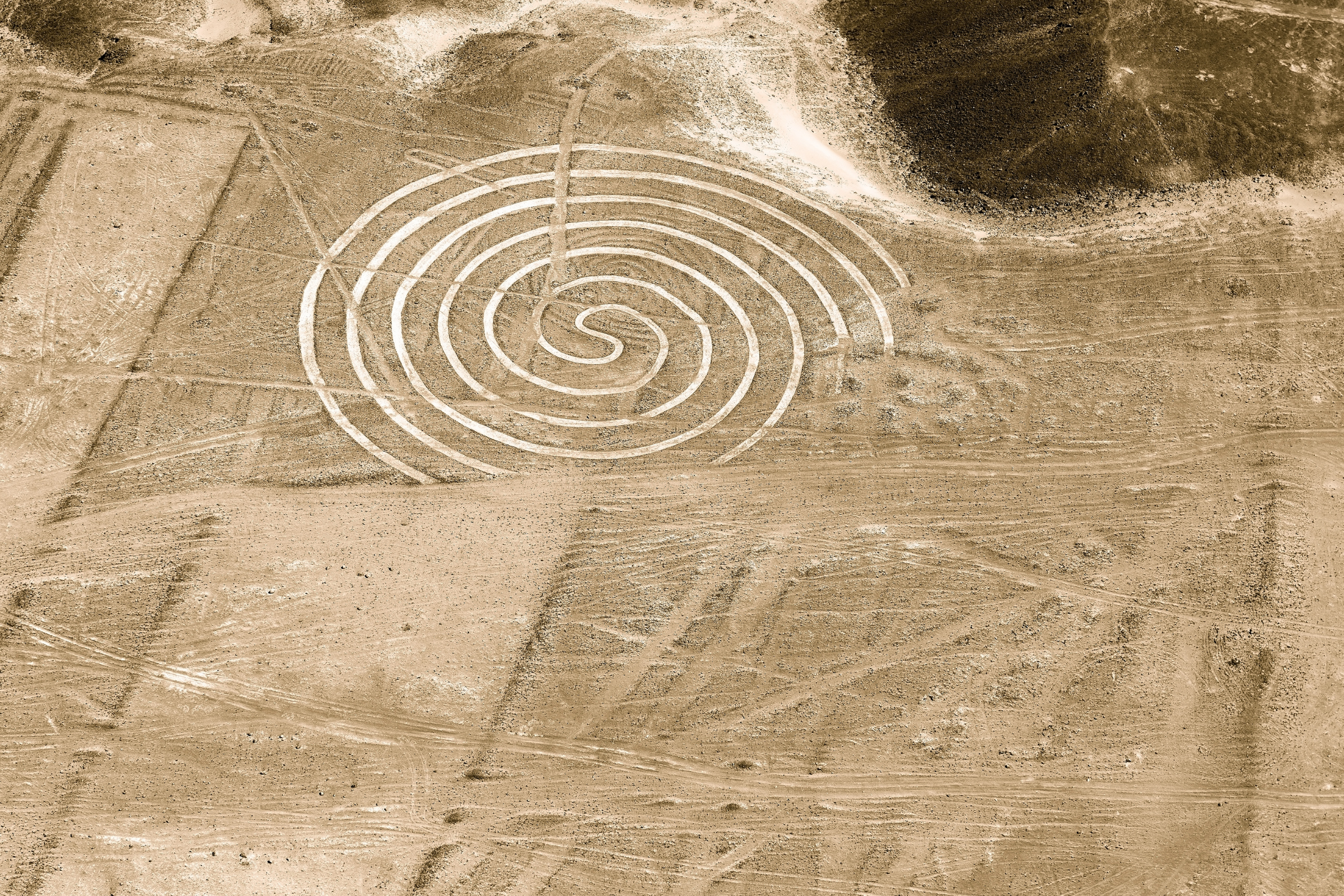 97 nazca lines.webp